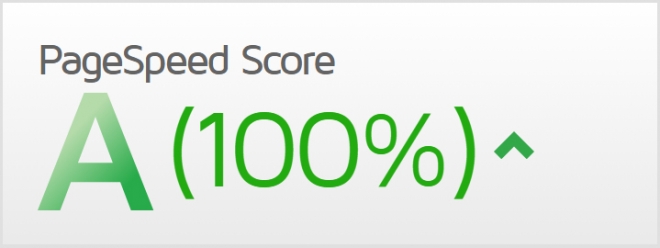 Google Pagespeed 100 score